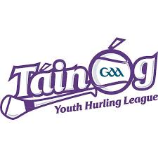 Táín Óg Hurling Finals Details